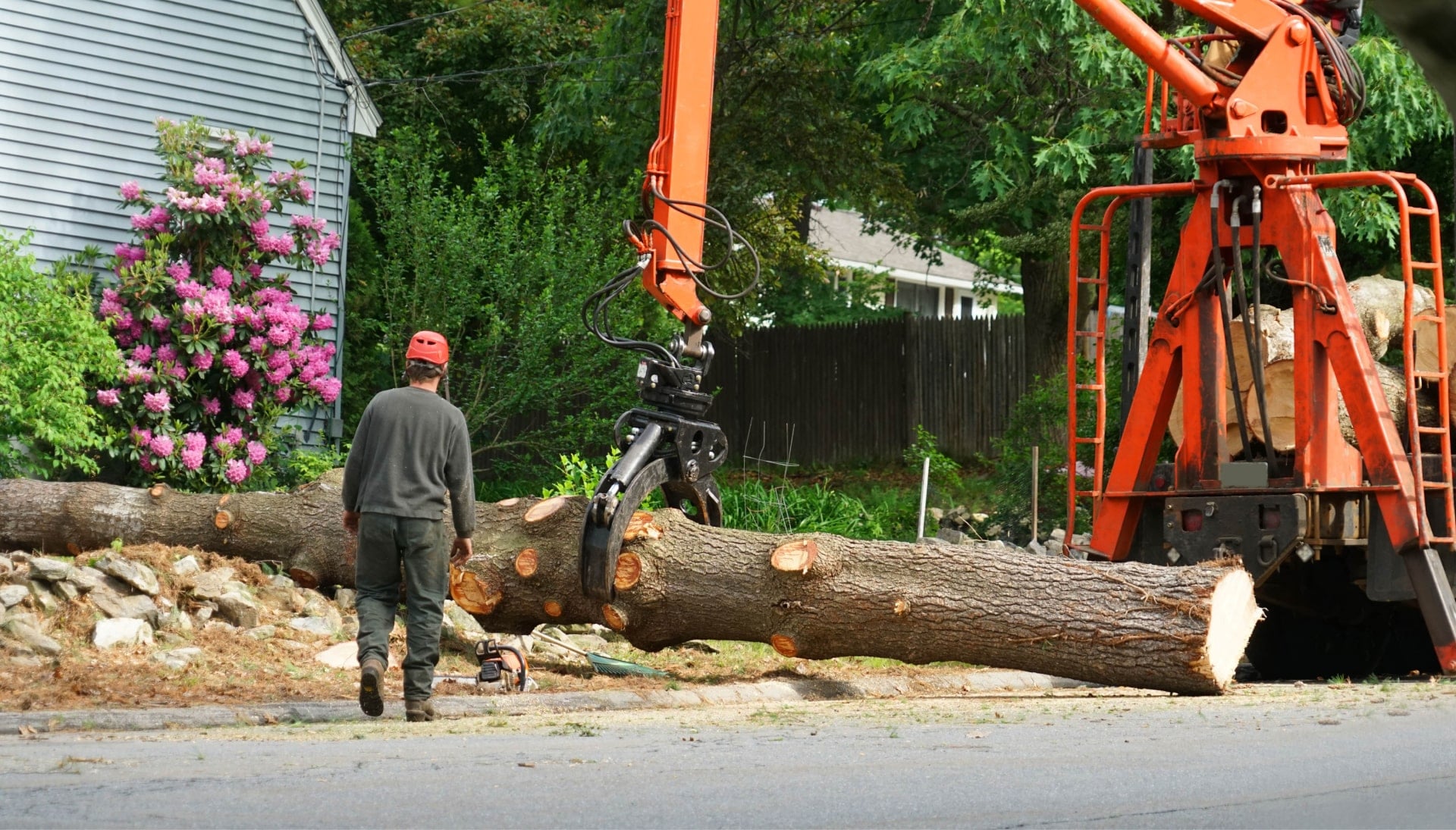 Top rated tree removal services Staten Island, New York